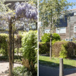 Tussenwoning - Oeverzegge 29 Zwolle - Voorst makelaardij - Makelaar Zwolle